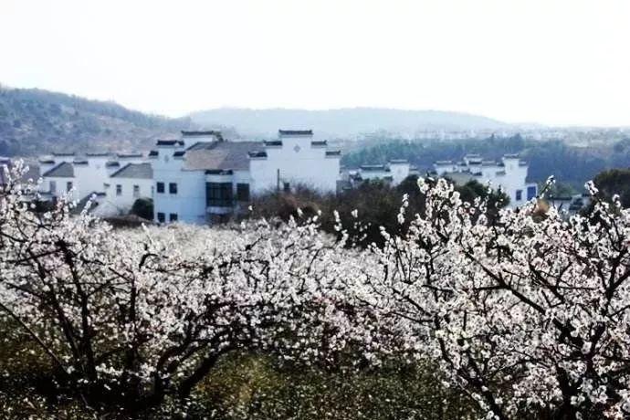 燃烧吧大脑免广告最新版